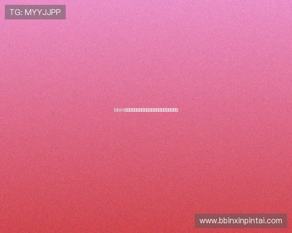 bbin导航白菜常用功能使用技巧分享帮助用户事半功倍